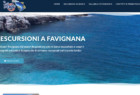 Escursioni in Barca Favignana